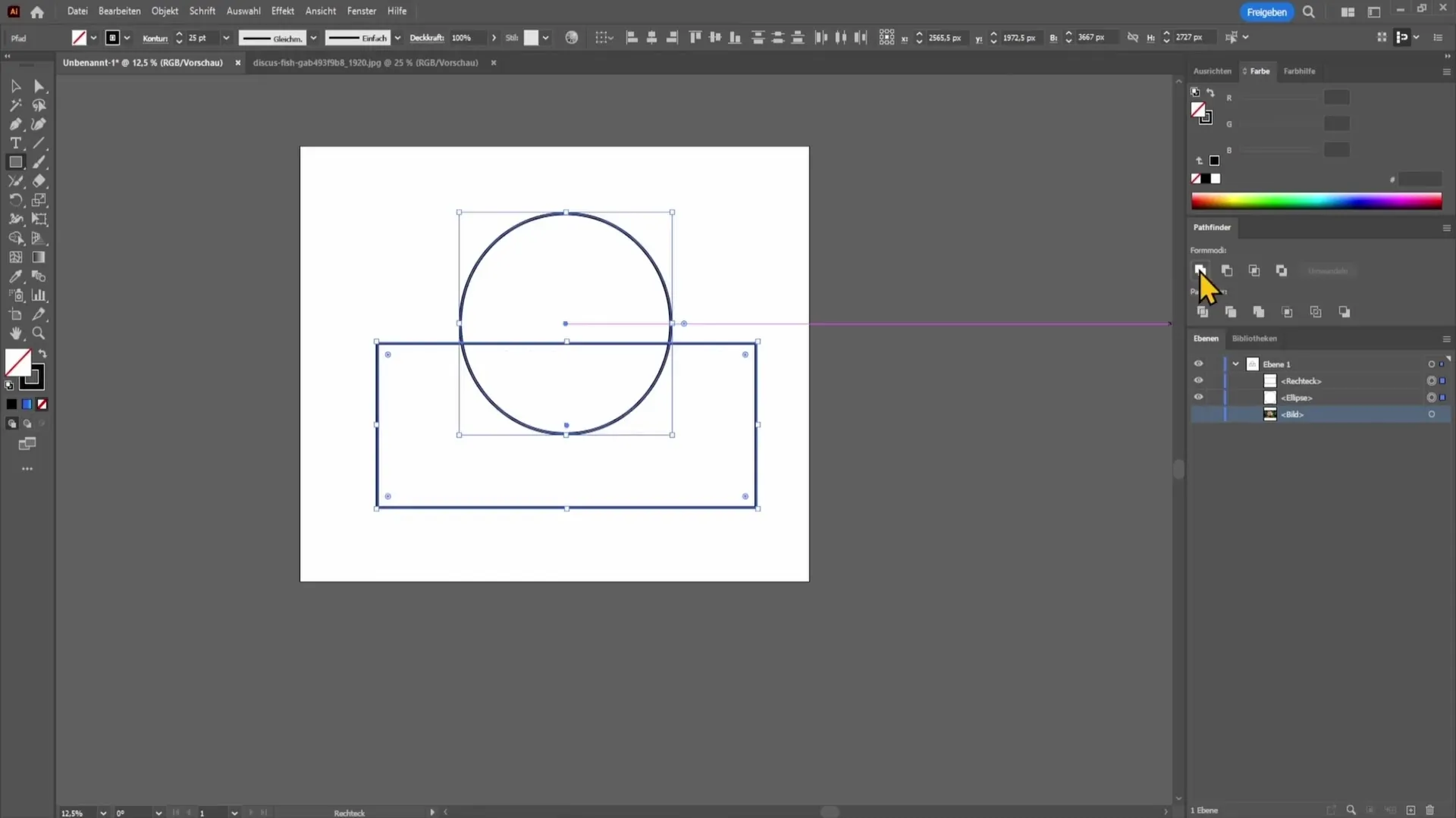 Introducción a Adobe Illustrator para principiantes
