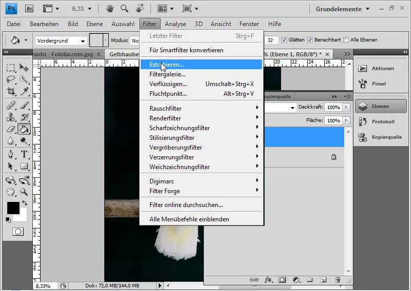 Haare optimal freistellen mit Extrahieren - für Locken, Fell und Federn perfekt Haare optimal freistellen mit Extrahieren - für Locken, Fell und Federn perfekt