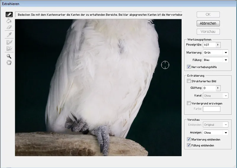 Haare optimal freistellen mit Extrahieren - für Locken, Fell und Federn perfekt Haare optimal freistellen mit Extrahieren - für Locken, Fell und Federn perfekt