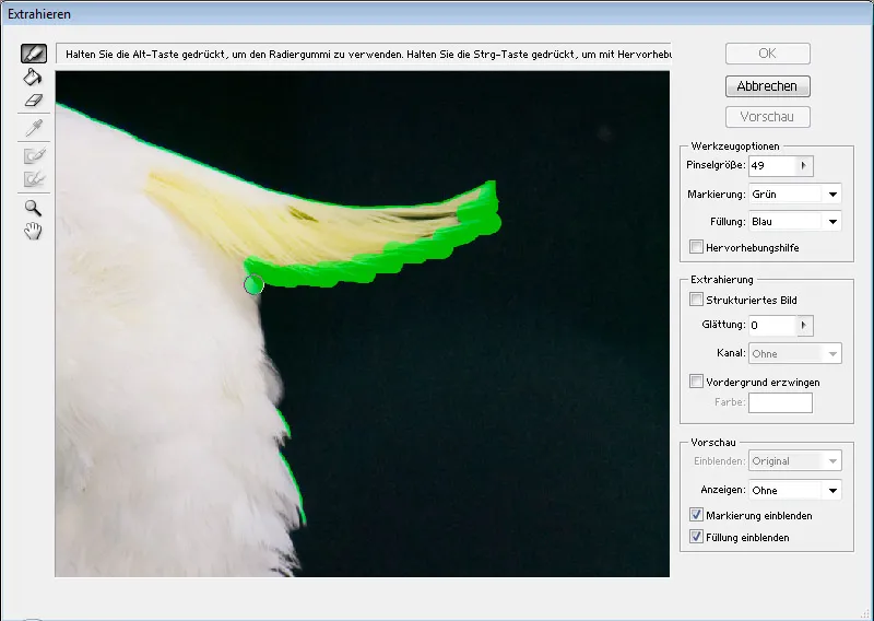 Haare optimal freistellen mit Extrahieren - für Locken, Fell und Federn perfekt Haare optimal freistellen mit Extrahieren - für Locken, Fell und Federn perfekt
