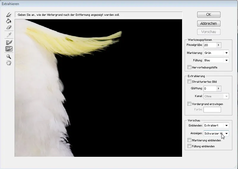 Haare optimal freistellen mit Extrahieren - für Locken, Fell und Federn perfekt Haare optimal freistellen mit Extrahieren - für Locken, Fell und Federn perfekt
