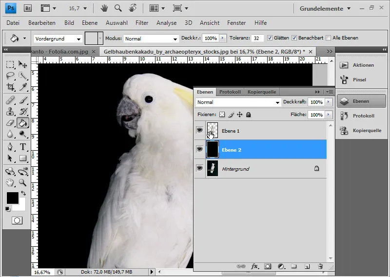 Haare optimal freistellen mit Extrahieren - für Locken, Fell und Federn perfekt Haare optimal freistellen mit Extrahieren - für Locken, Fell und Federn perfekt