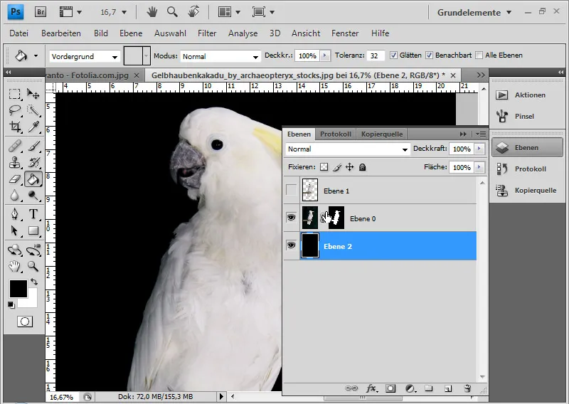 Haare optimal freistellen mit Extrahieren - für Locken, Fell und Federn perfekt Haare optimal freistellen mit Extrahieren - für Locken, Fell und Federn perfekt