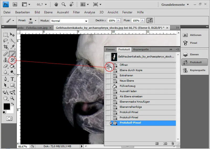 Haare optimal freistellen mit Extrahieren - für Locken, Fell und Federn perfekt Haare optimal freistellen mit Extrahieren - für Locken, Fell und Federn perfekt
