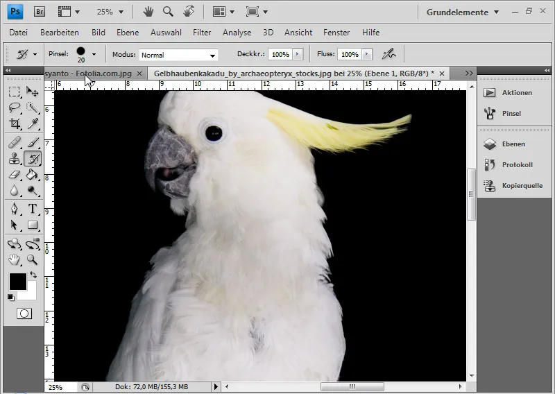 Haare optimal freistellen mit Extrahieren - für Locken, Fell und Federn perfekt Haare optimal freistellen mit Extrahieren - für Locken, Fell und Federn perfekt
