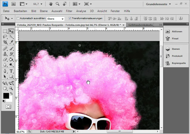 Haare optimal freistellen mit Extrahieren - für Locken, Fell und Federn perfekt Haare optimal freistellen mit Extrahieren - für Locken, Fell und Federn perfekt