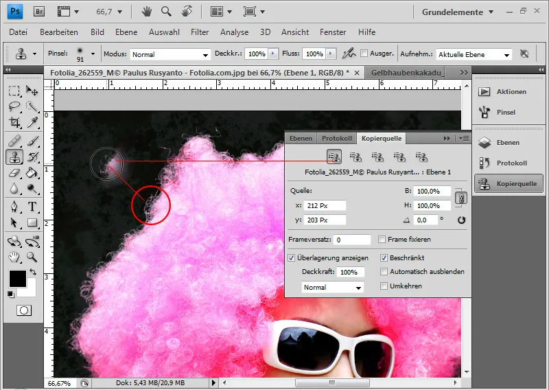 Haare optimal freistellen mit Extrahieren - für Locken, Fell und Federn perfekt Haare optimal freistellen mit Extrahieren - für Locken, Fell und Federn perfekt
