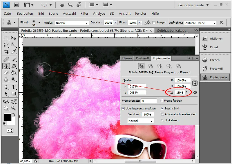 Haare optimal freistellen mit Extrahieren - für Locken, Fell und Federn perfekt Haare optimal freistellen mit Extrahieren - für Locken, Fell und Federn perfekt