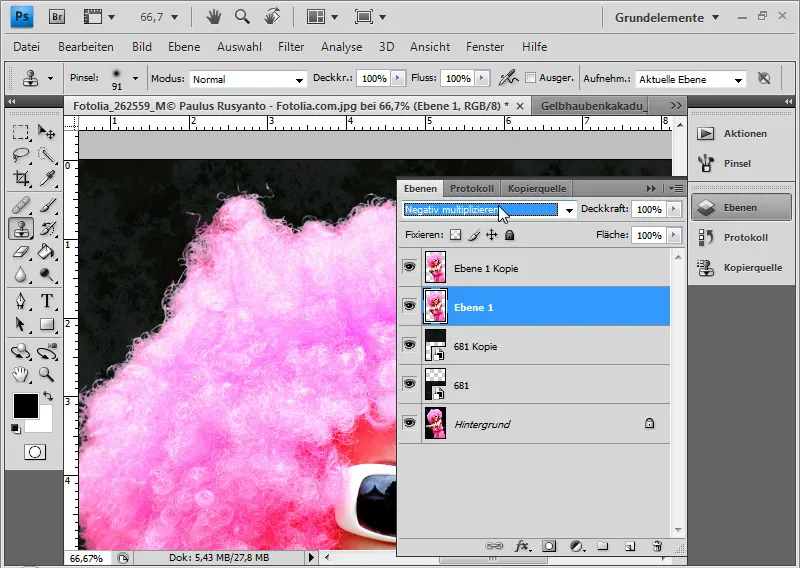 Haare optimal freistellen mit Extrahieren - für Locken, Fell und Federn perfekt Haare optimal freistellen mit Extrahieren - für Locken, Fell und Federn perfekt