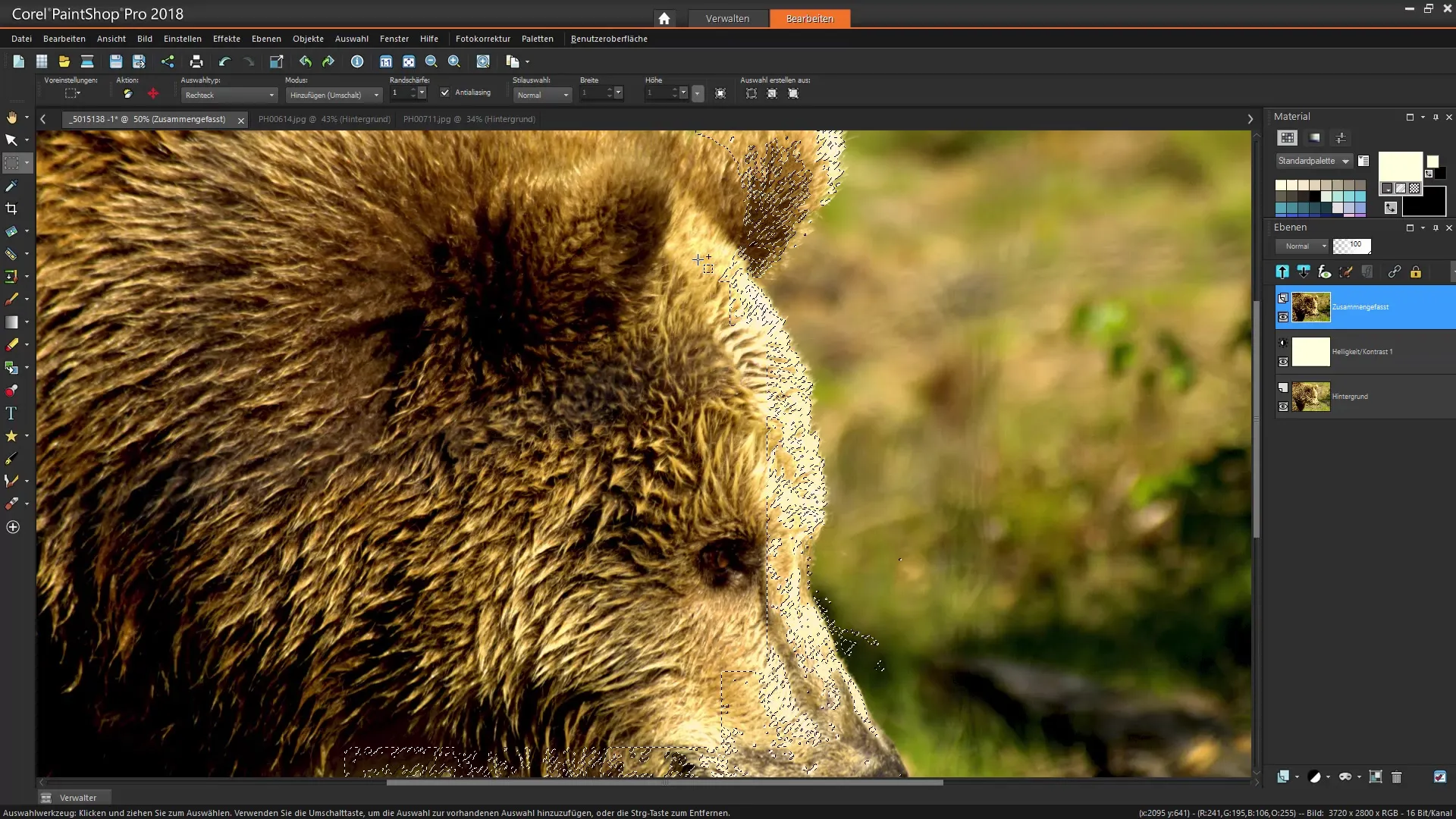 Corel PaintShop Pro Velge effektivt utforme
