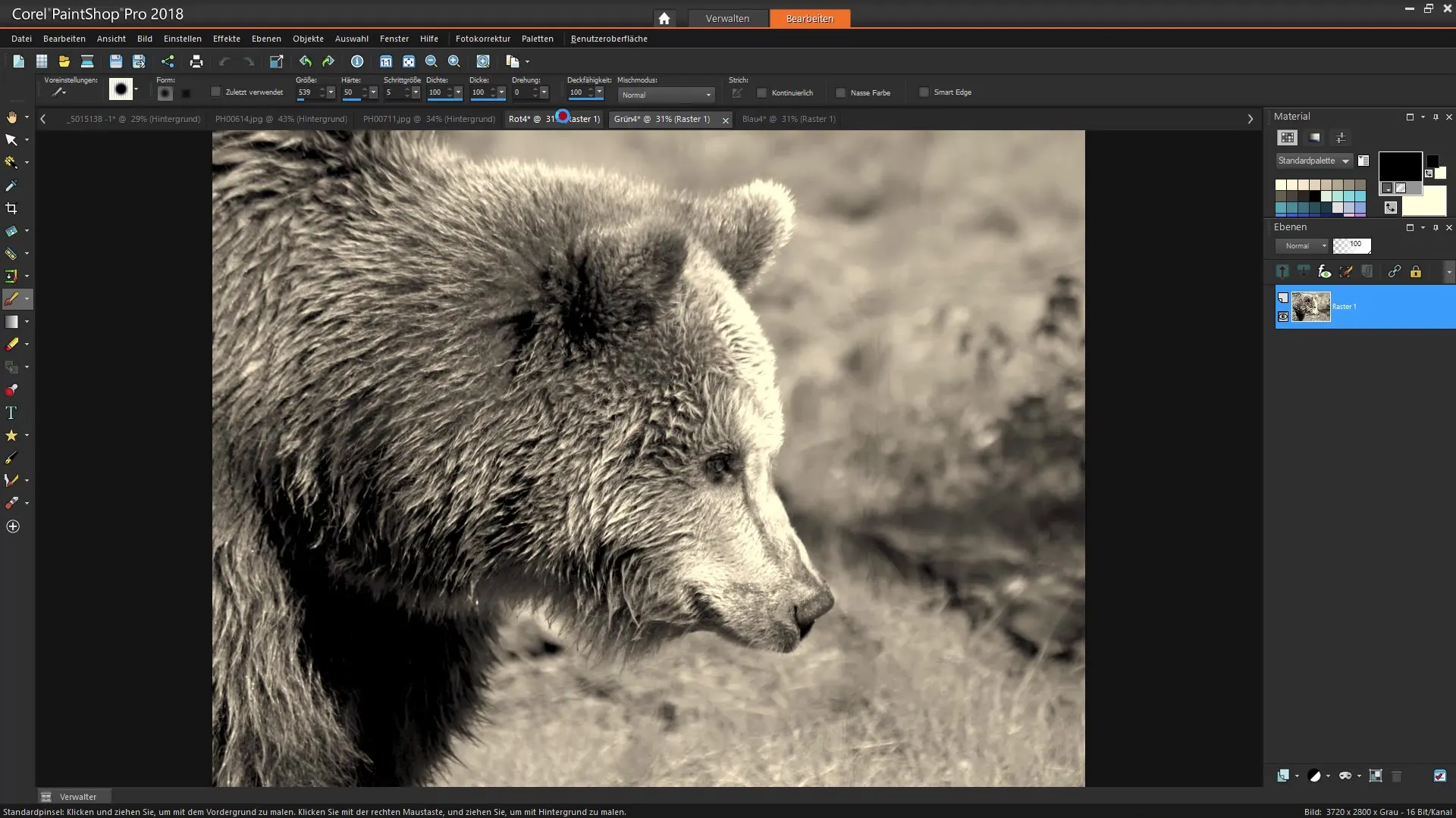 Corel PaintShop Pro gjøre utvalg effektivt