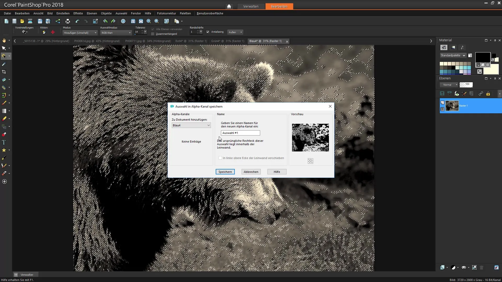 Corel PaintShop Pro utvalg effektivt utforme