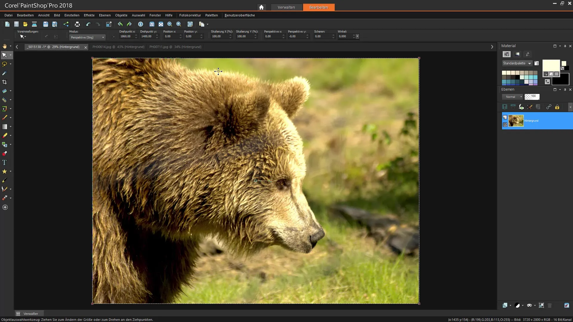 Corel PaintShop Pro Velge effektivt utforme