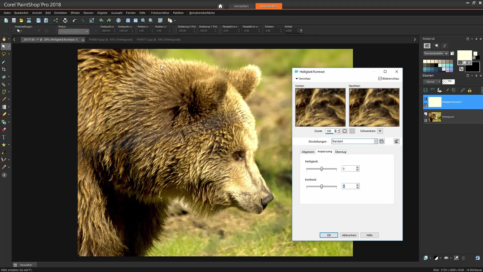 Corel PaintShop Pro Velge effektivt utforme