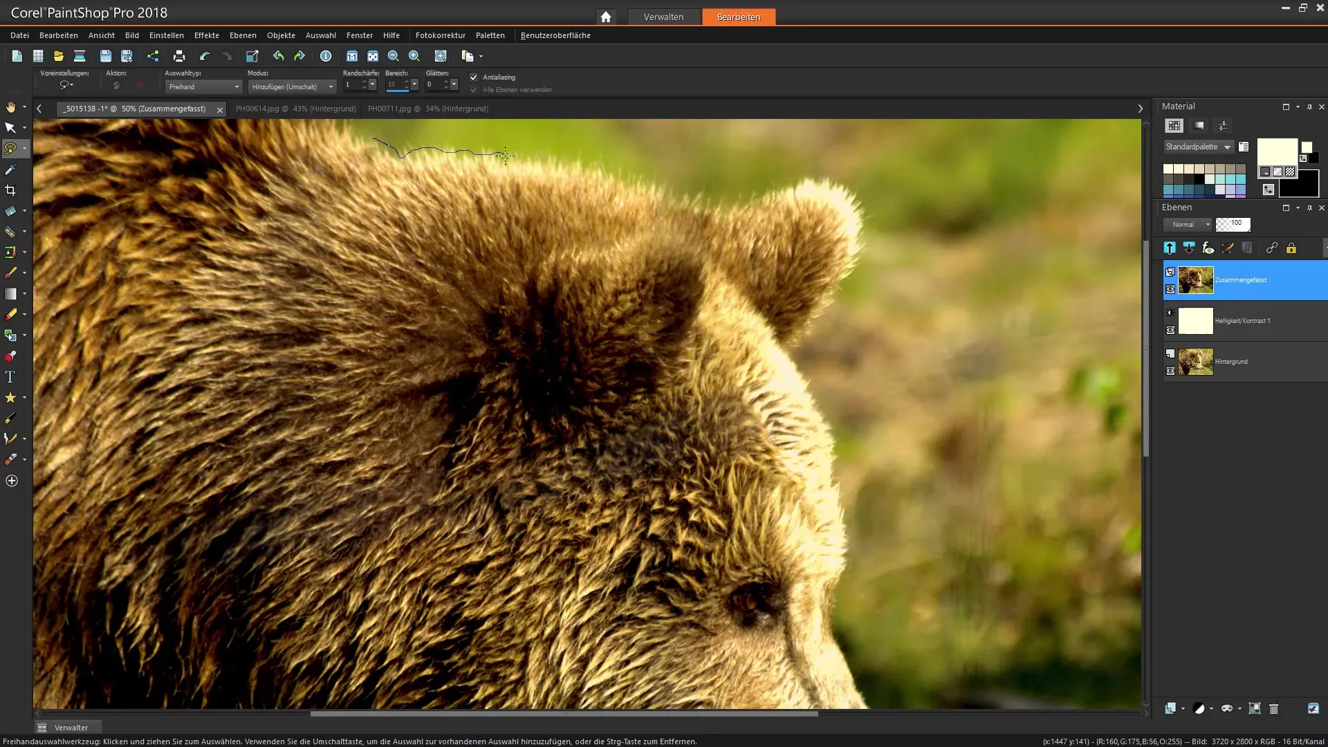 Corel PaintShop Pro Utvalg effektivt utforme