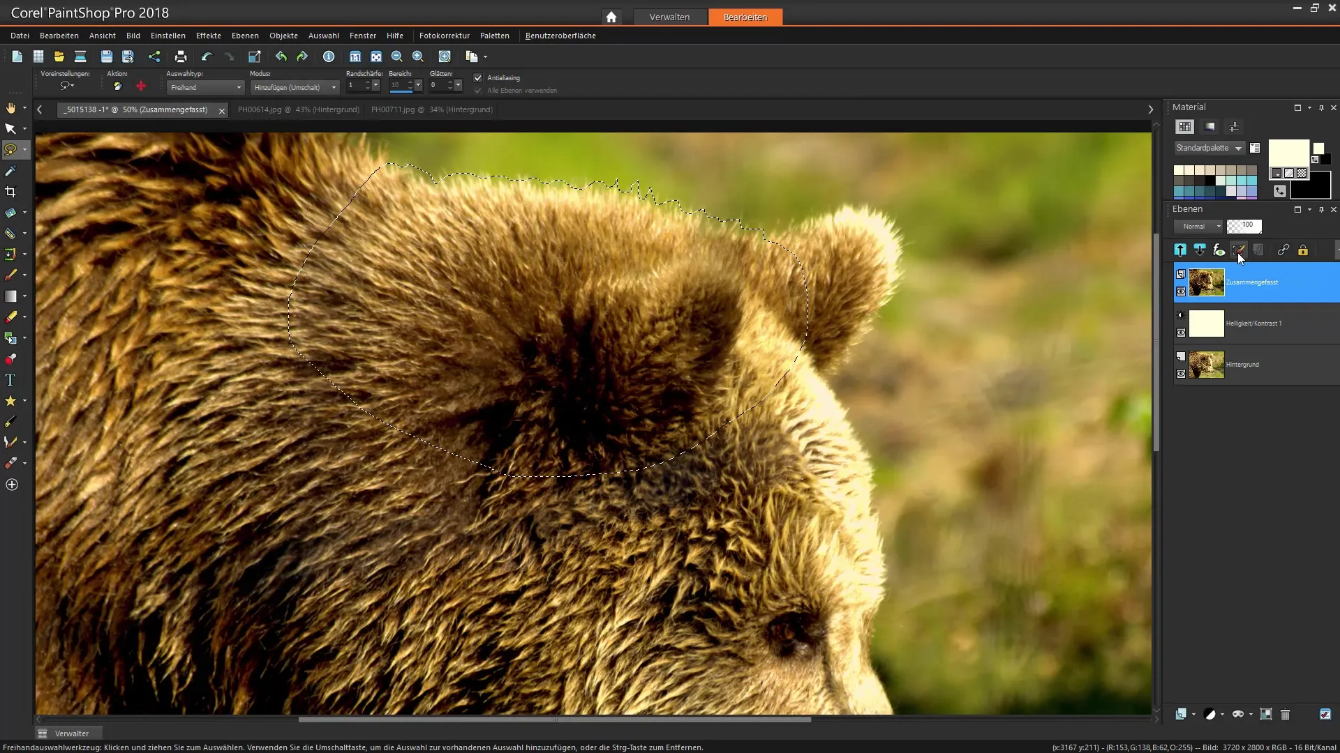Corel PaintShop Pro Velge effektivt utforme