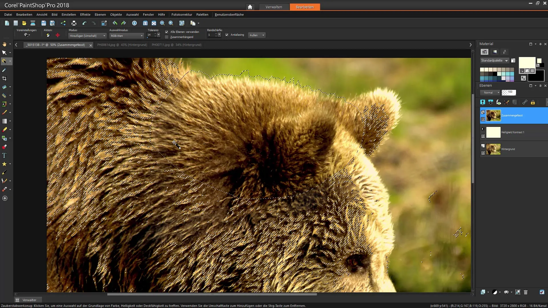 Corel PaintShop Pro Velge effektivt utforme