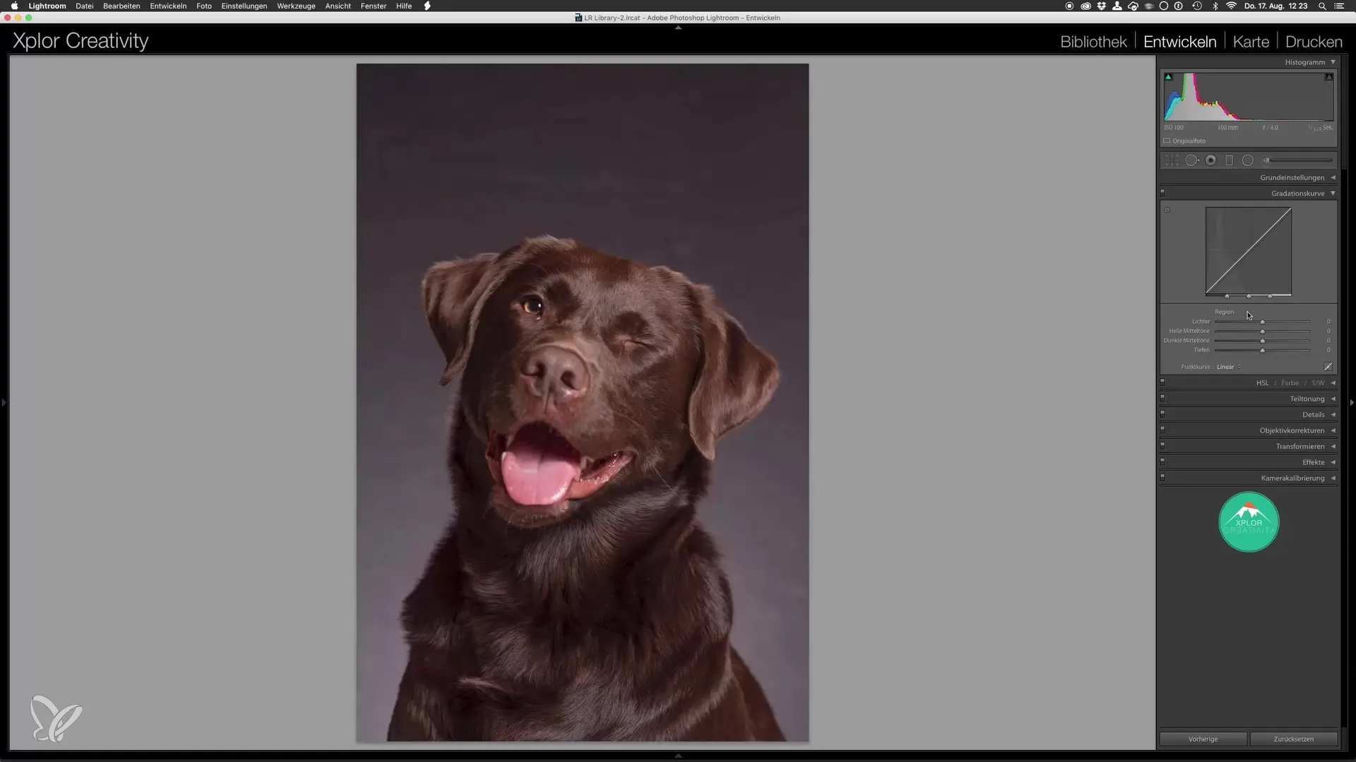 Pengolahan dasar optimal untuk Hundeporträts di Lightroom