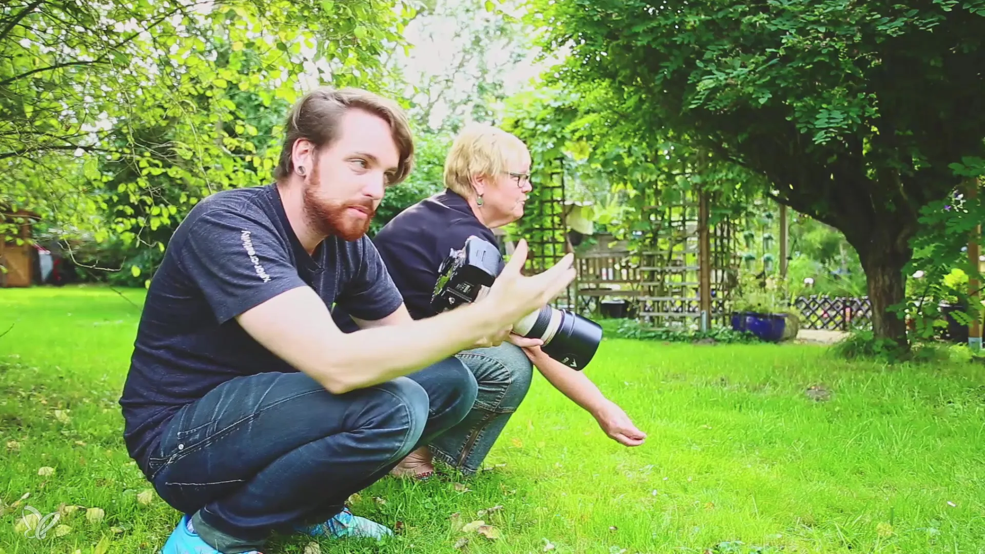 Hundefotografi i det fri – sten på sten til det perfekte skud
