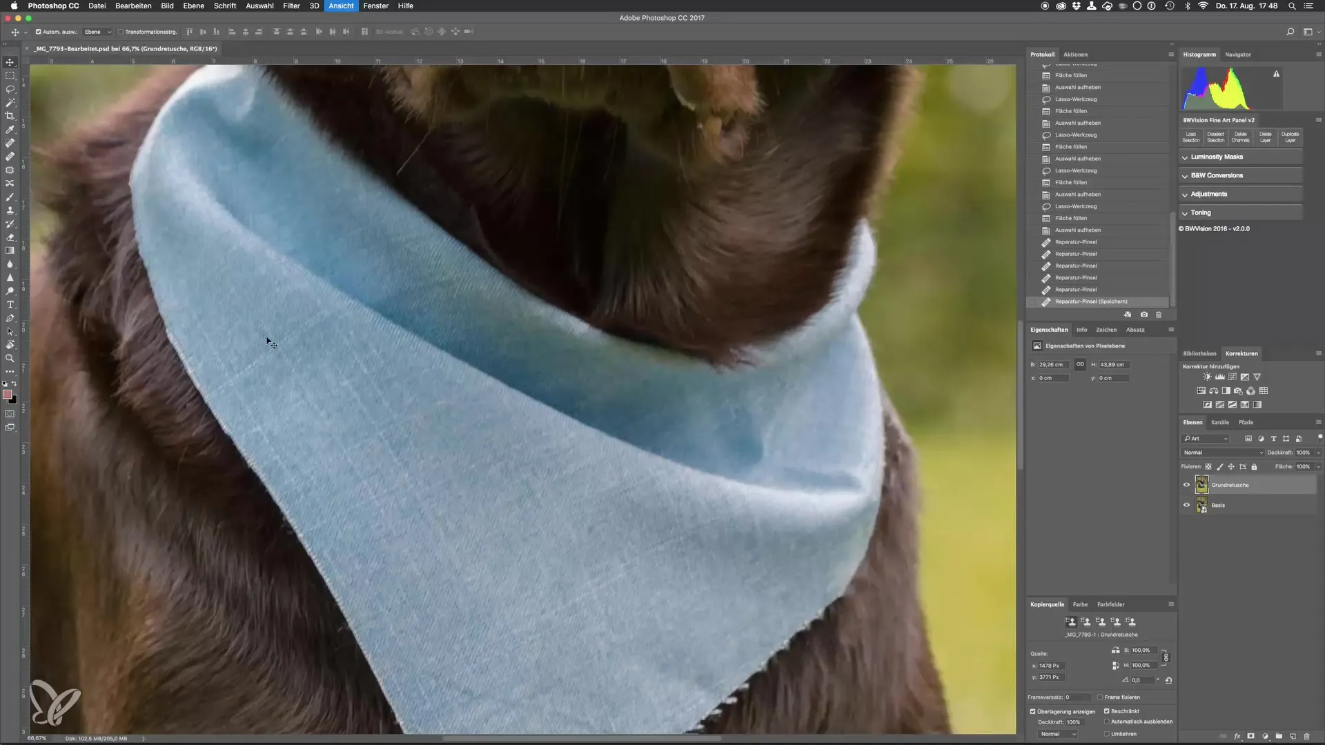 Perfect dog photos through advanced retouching techniques