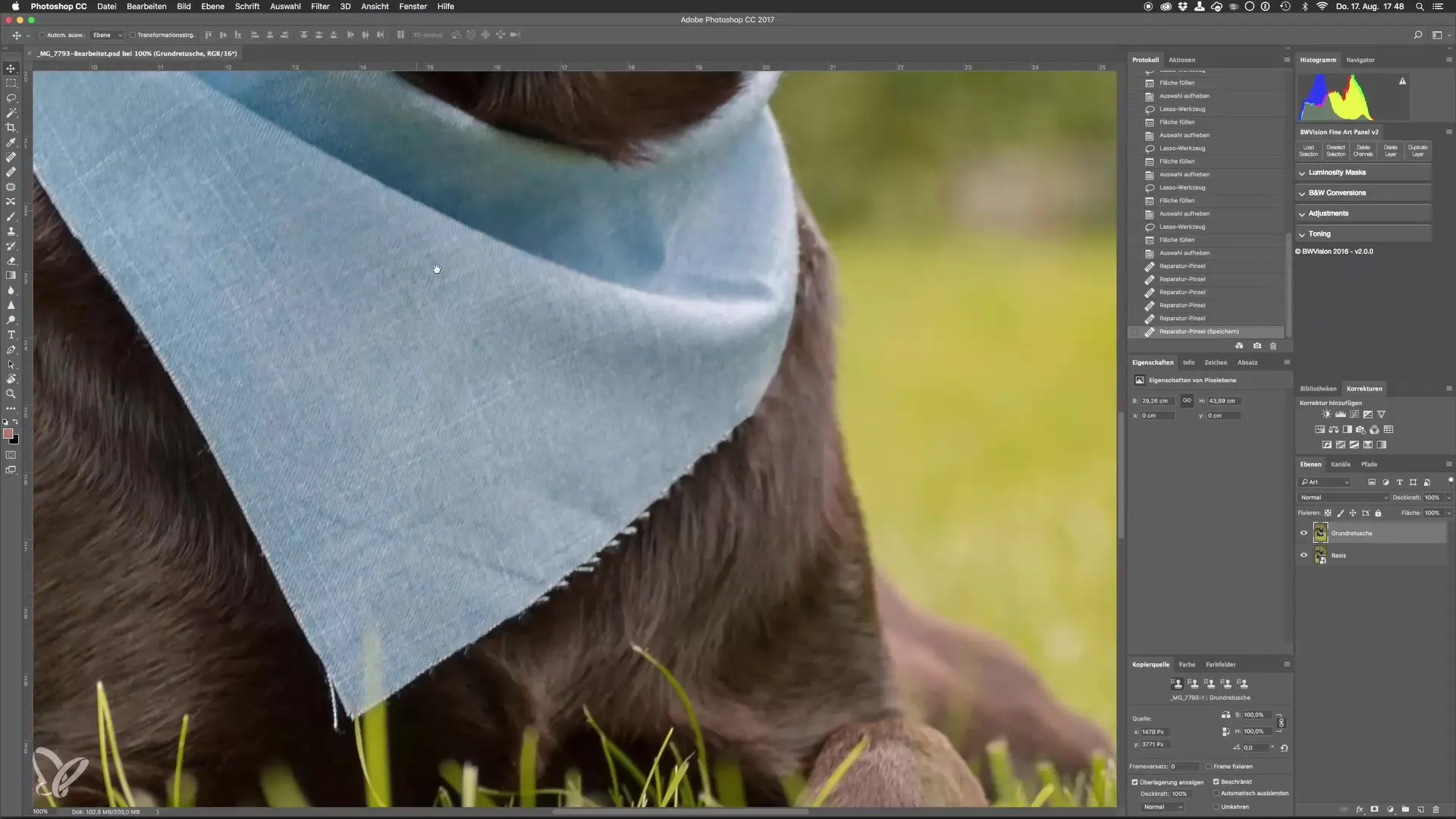 Perfect dog photos through advanced retouching techniques
