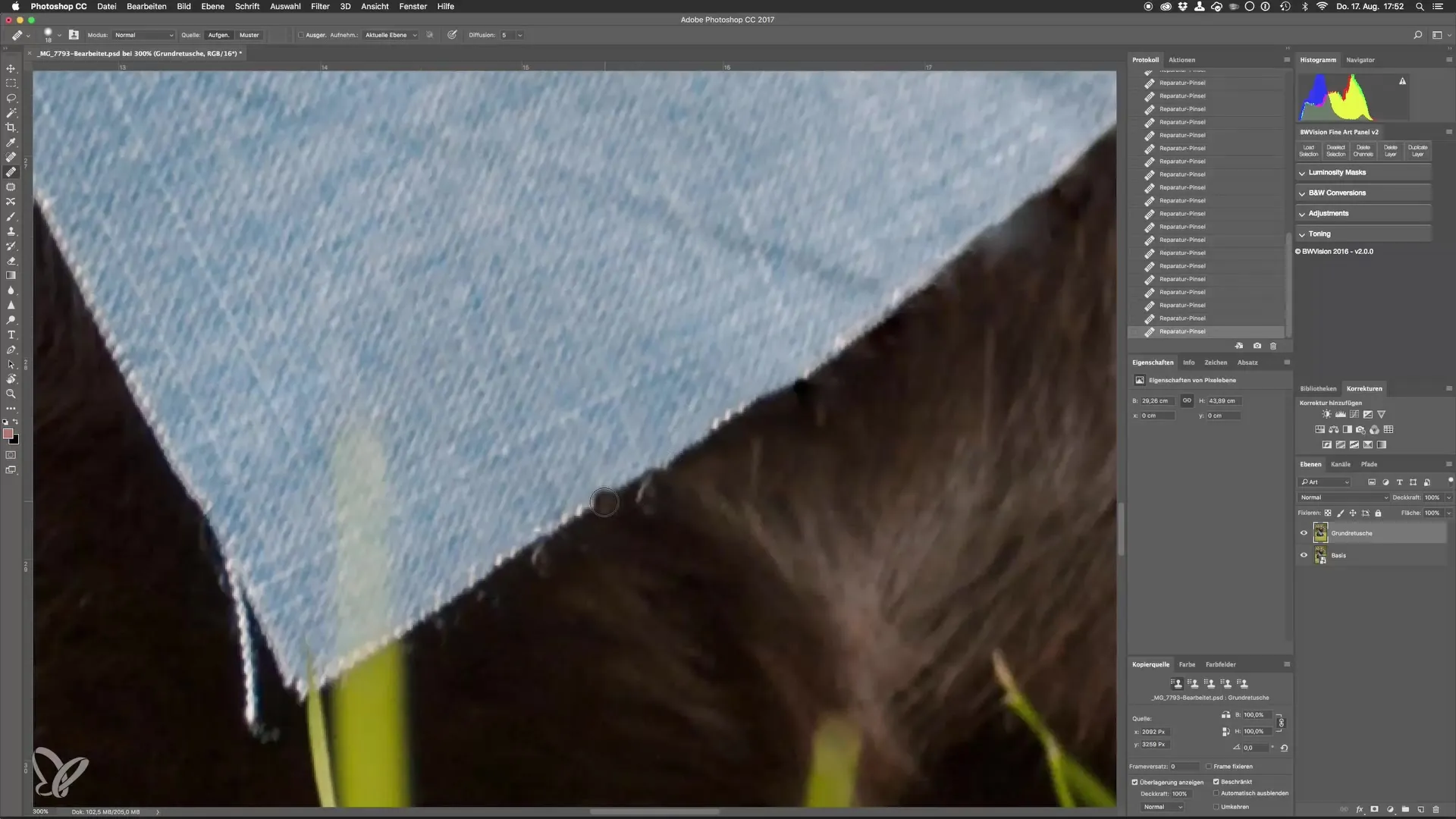 Perfect dog photos through advanced retouching techniques