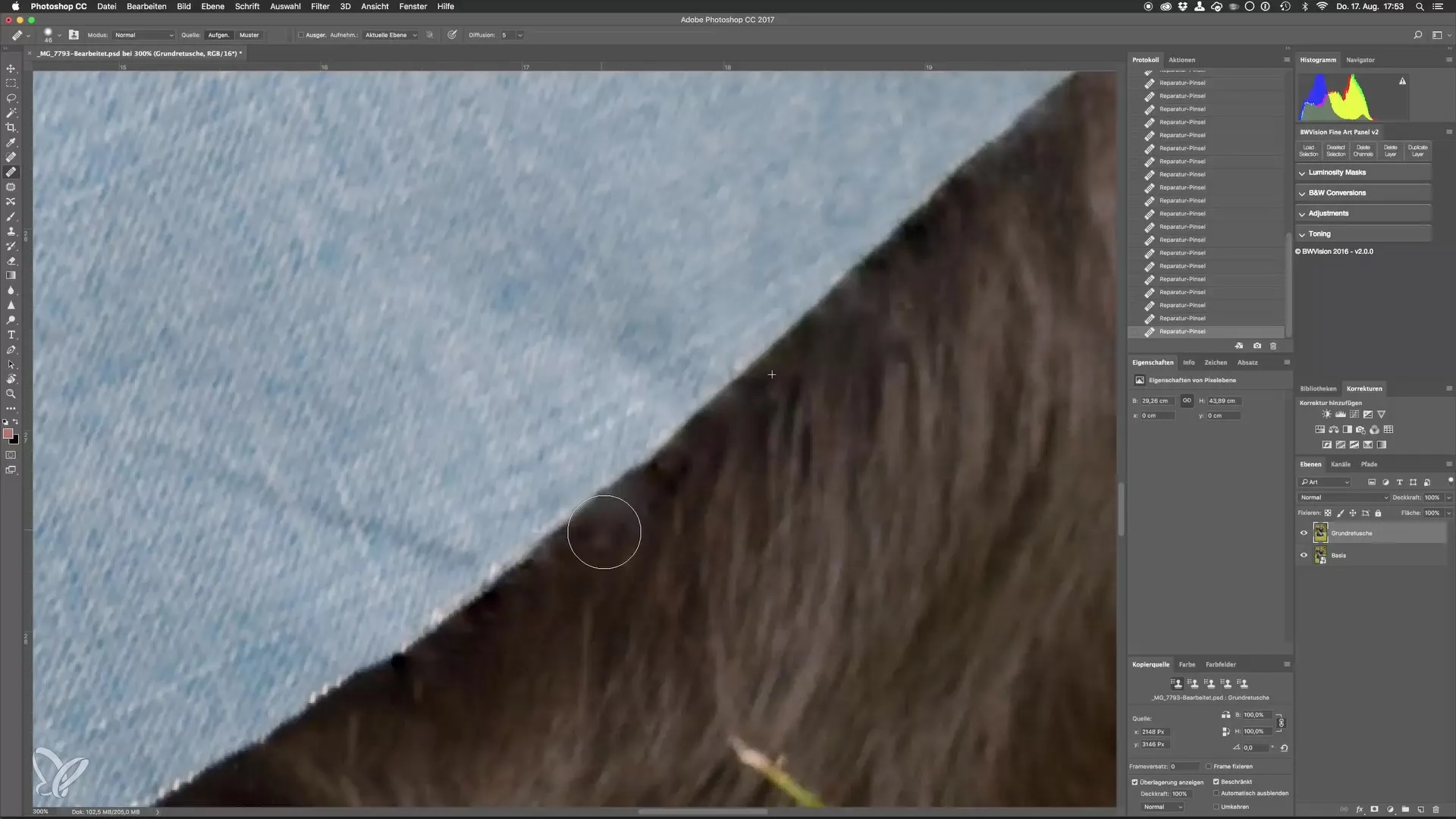 Perfect dog photos through advanced retouching techniques