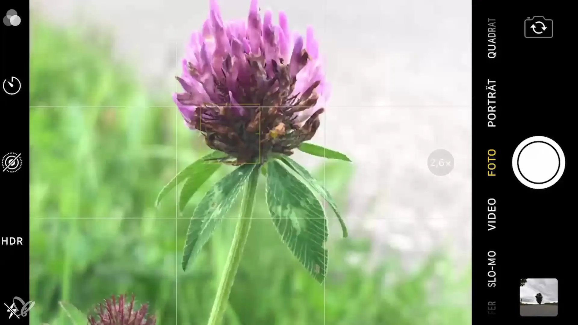 Smartphone photography: Optimal lines and perspective