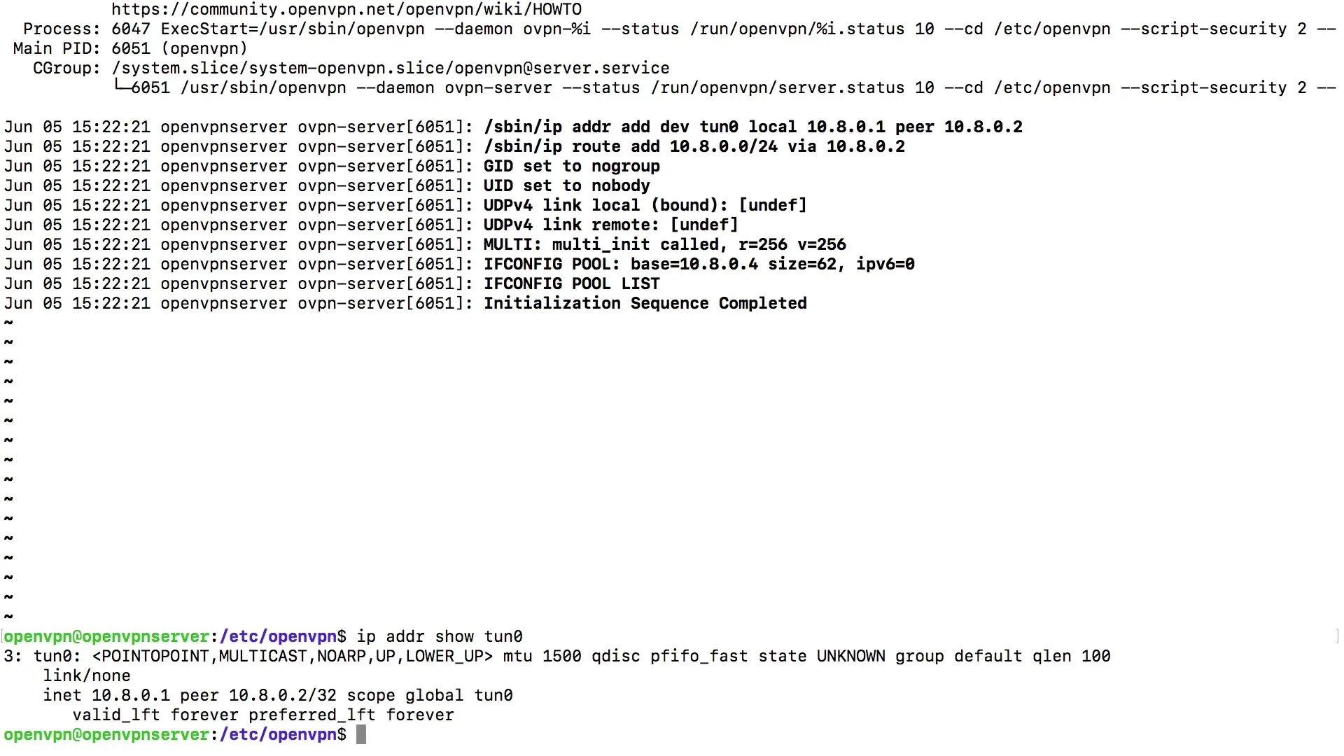 Iniciar y verificar el servicio OpenVPN - Guía paso a paso