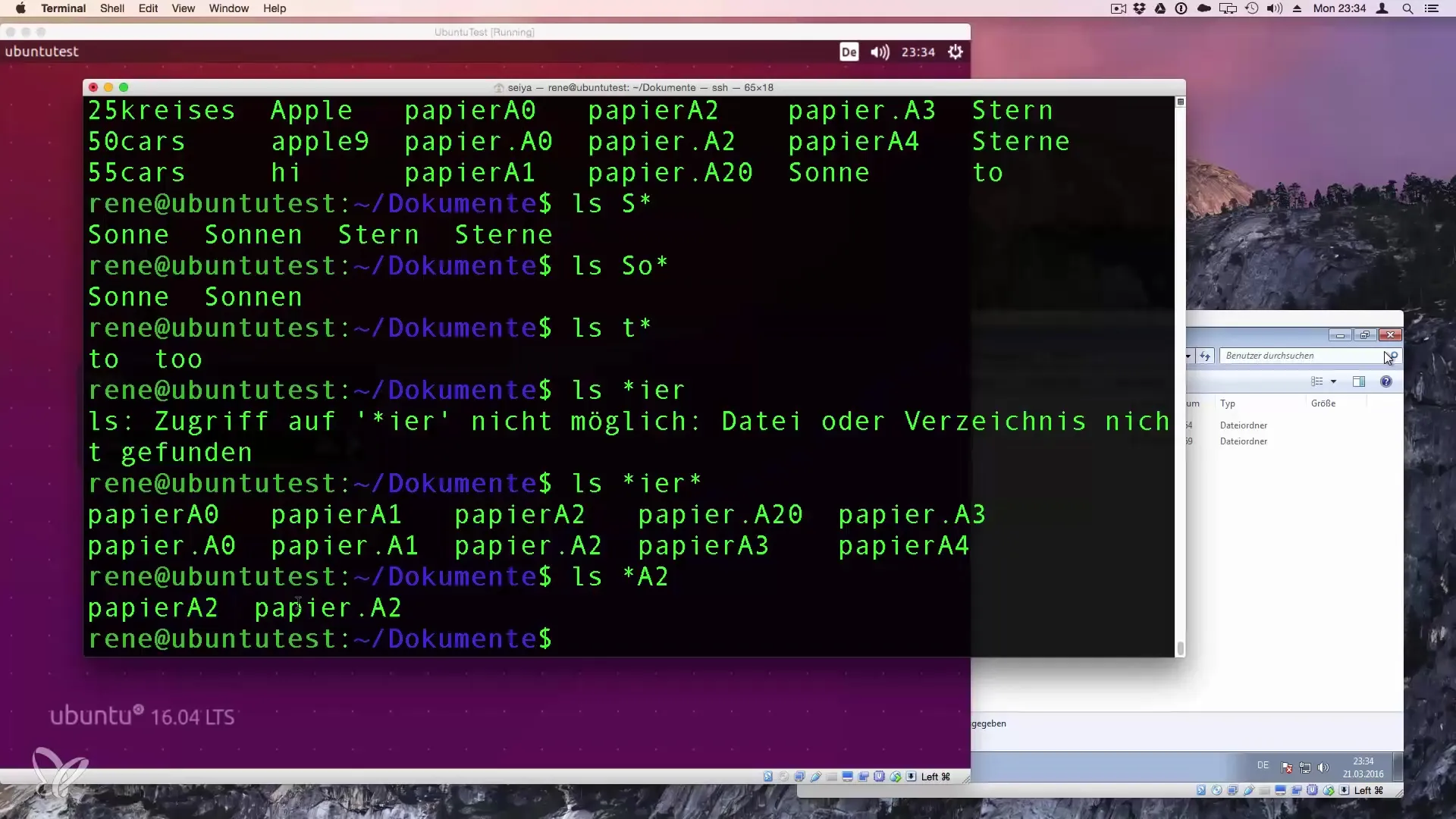 Wildcards in Linux: comprendere e utilizzare i placeholders