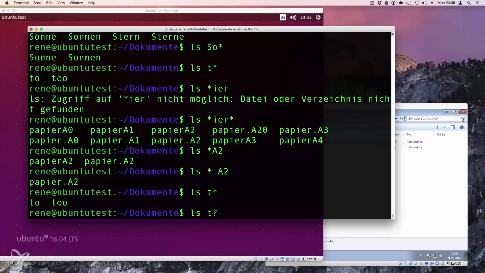 Wildcard in Linux: capire e utilizzare i segnaposto