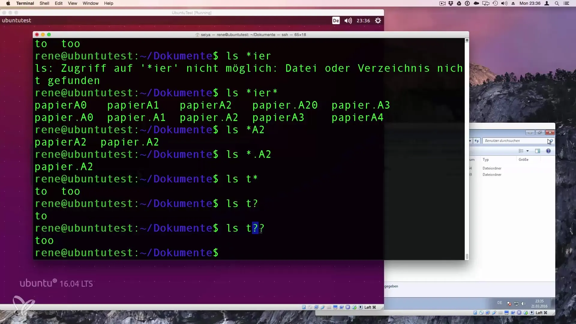 Wildcards in Linux: comprendere e utilizzare i placeholders