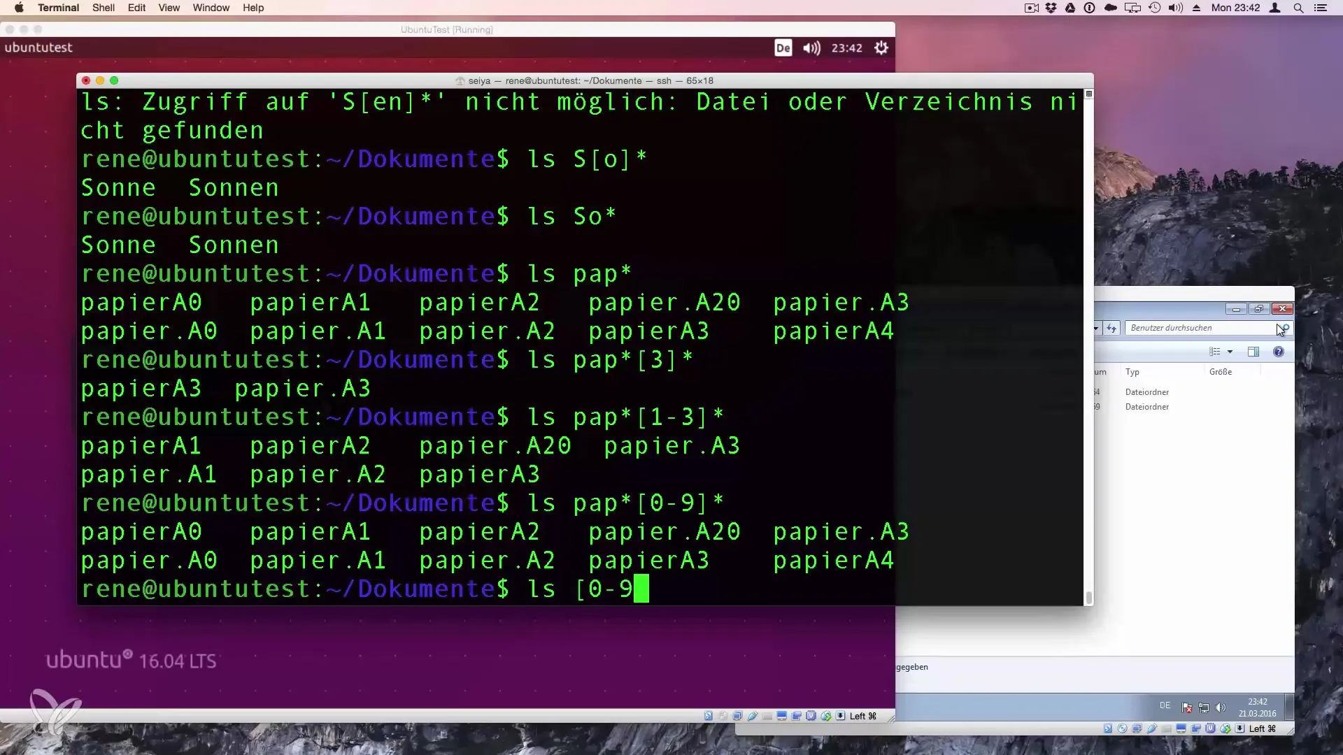 Wildcards in Linux: comprendere e utilizzare i segnaposto