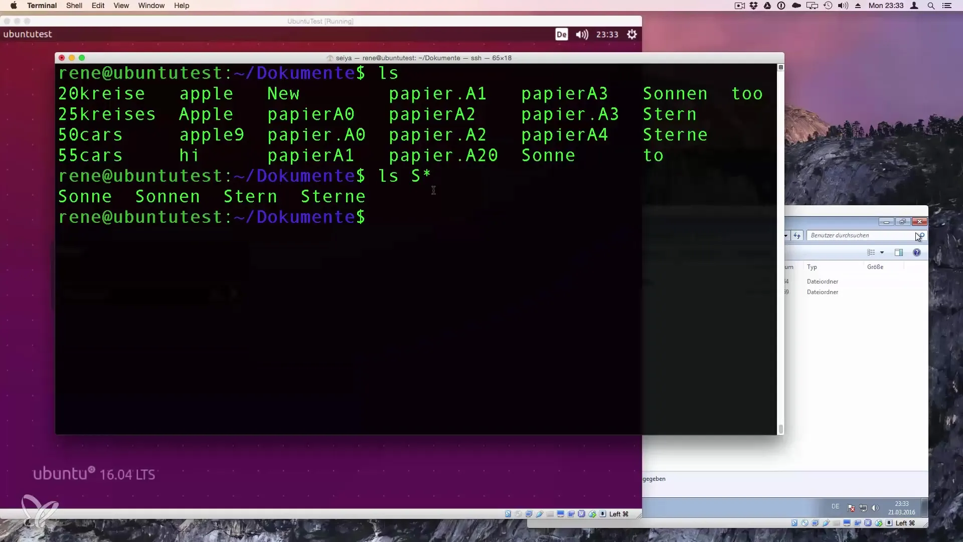 Wildcards in Linux: comprendere e utilizzare i segnaposto