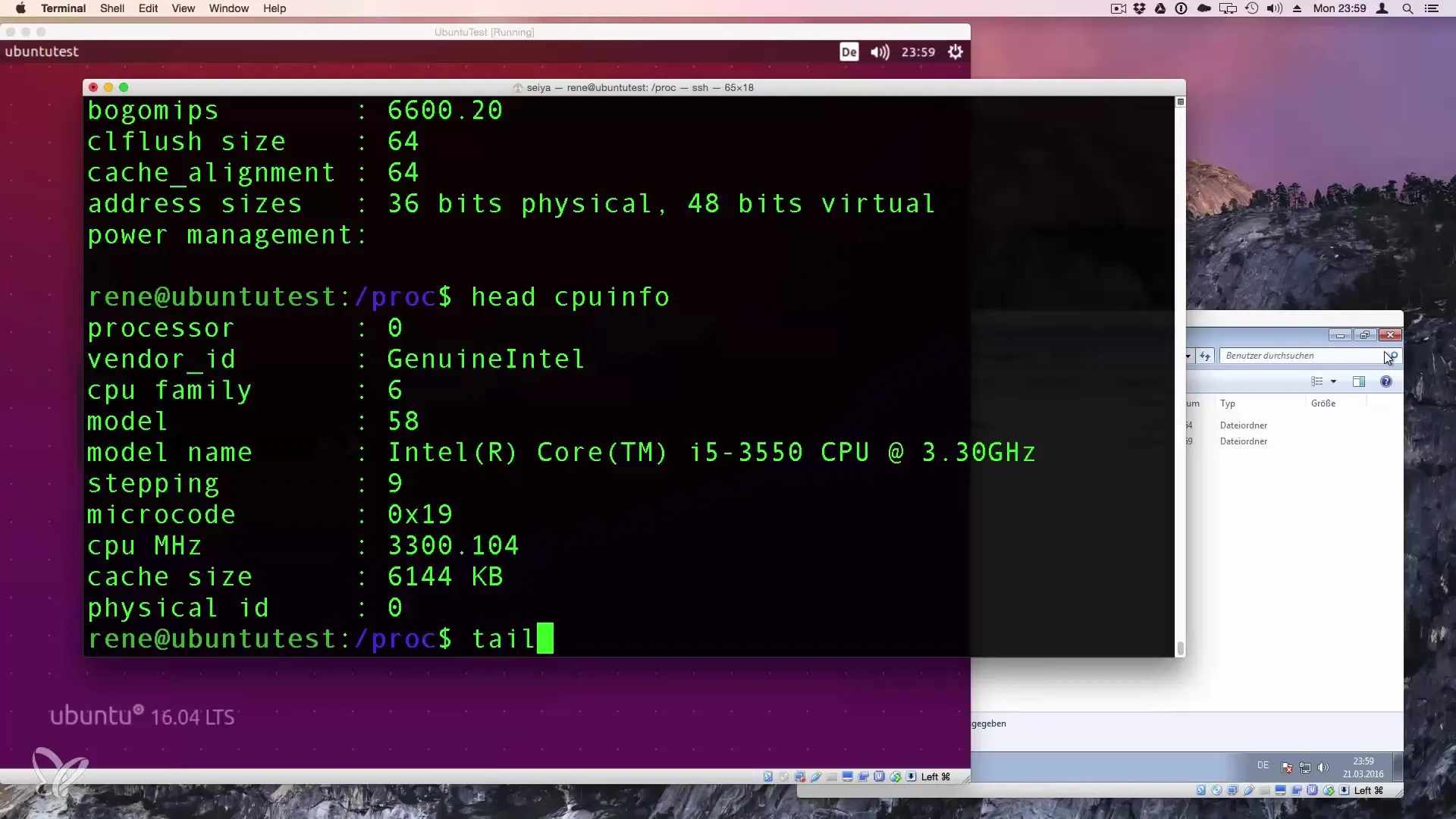 Schnell und effizient Dateiinhalte in Linux überprüfen
