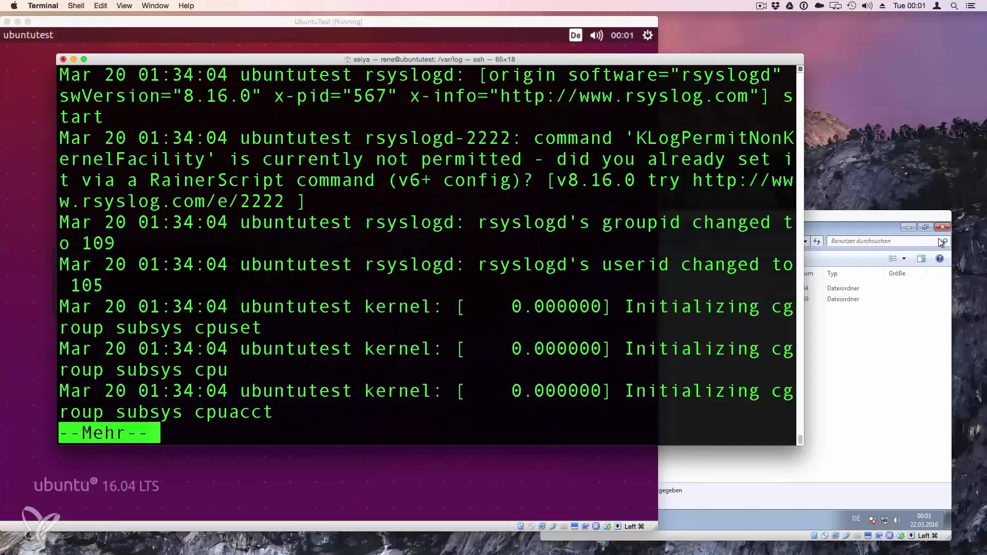 Schnell und effizient Dateiinhalte in Linux überprüfen