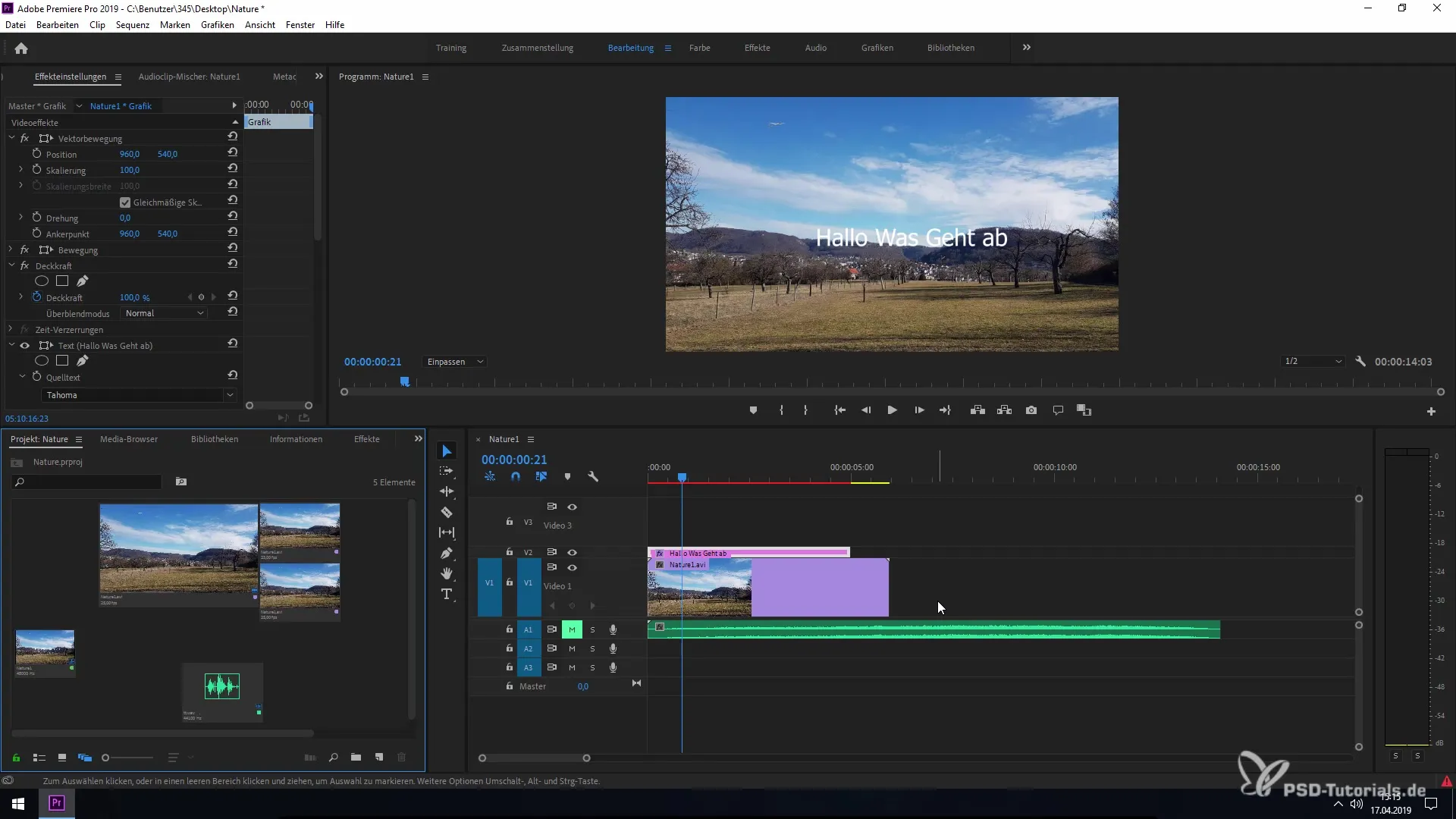Utilizzare la Freiformansicht in Premiere Pro CC 2019