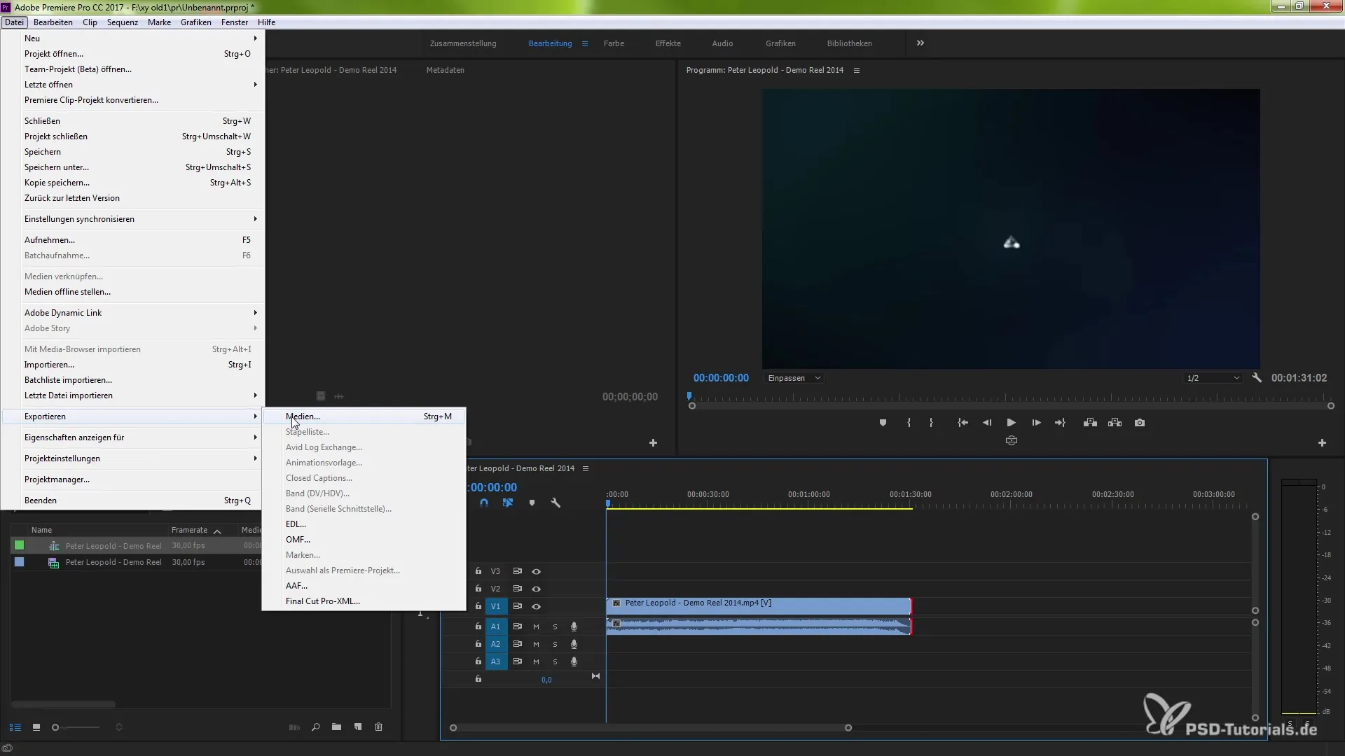Adobe Premiere Pro CC 2017.1로 Stockmaterial 판매하기