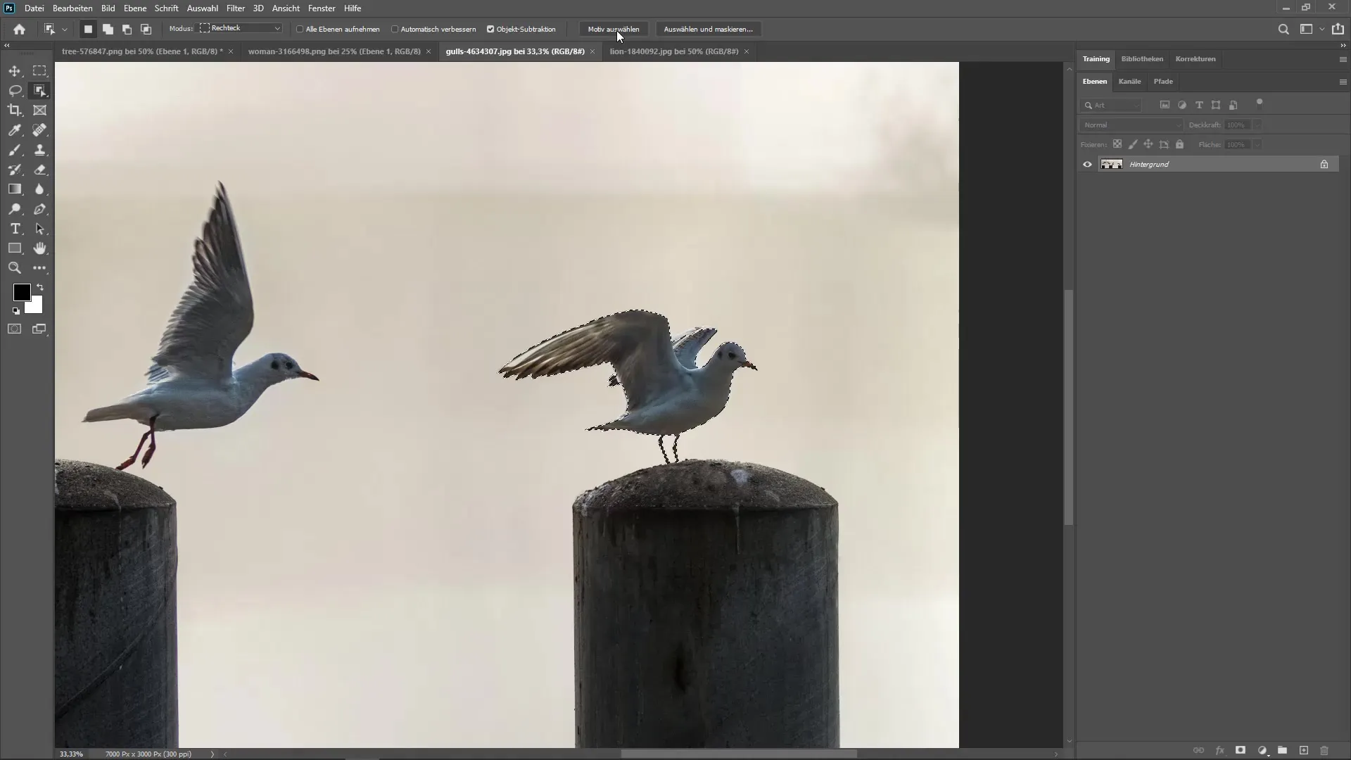 Photoshop CC 2020: Novedades y consejos para profesionales creativos