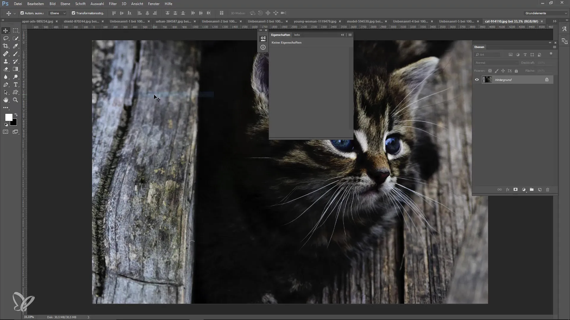 Neue Funktionen von Photoshop CC 2015.5 für effizienteres Arbeiten