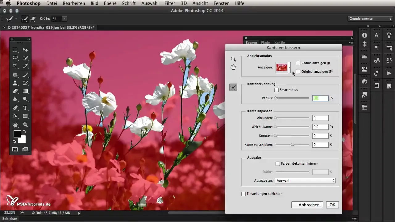 Focus area selection in Photoshop CC 2014 for creative image editing