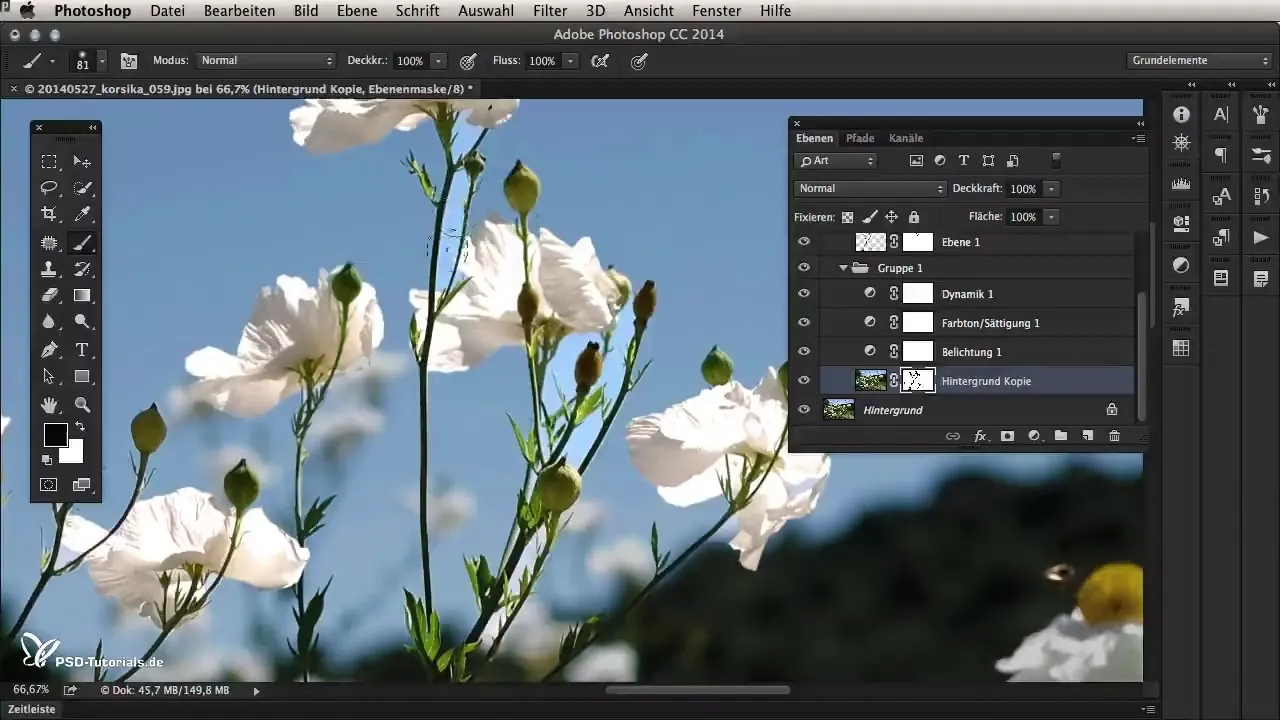 Focus area selection in Photoshop CC 2014 for creative image editing