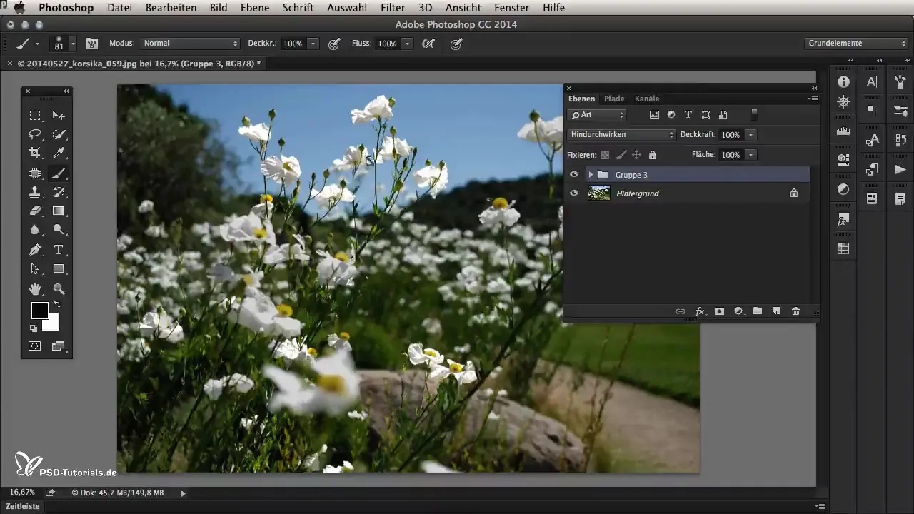 Focus area selection in Photoshop CC 2014 for creative image editing