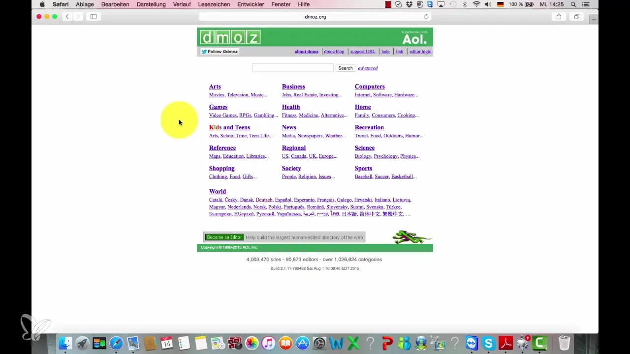 DMOZ-Entry pentru site-ul tău – Pas cu pas către vizibilitate