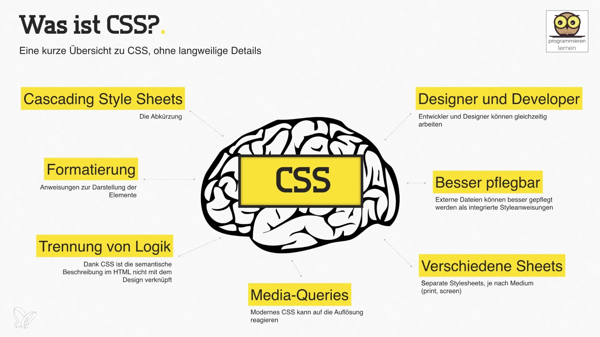 Základy CSS pro webový vývoj