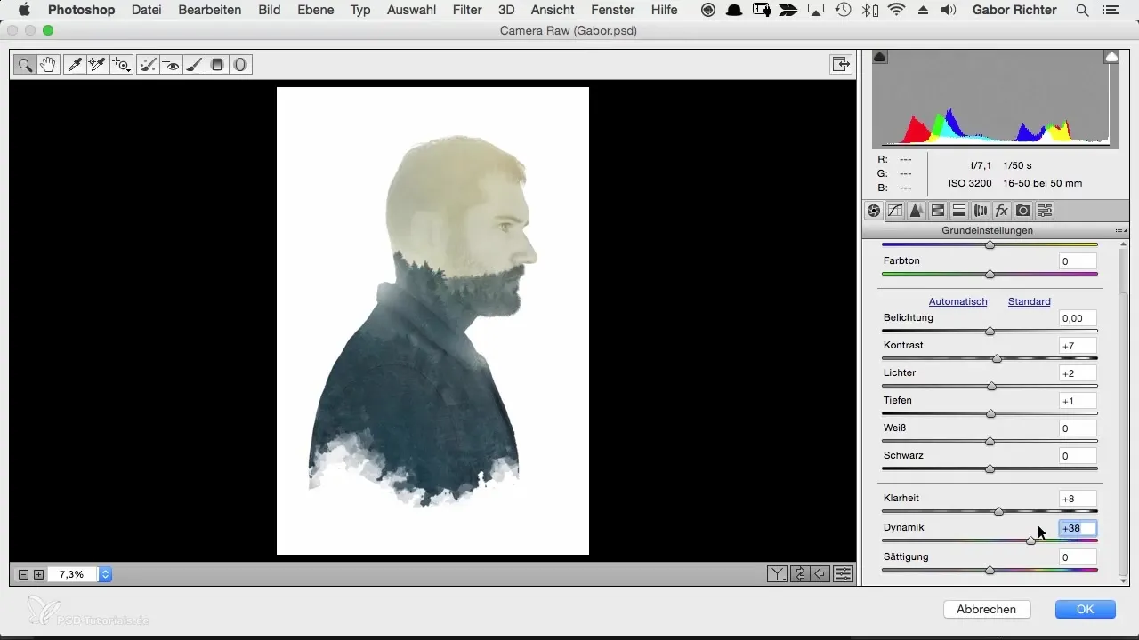 Final adjustments for character portraits in Photoshop