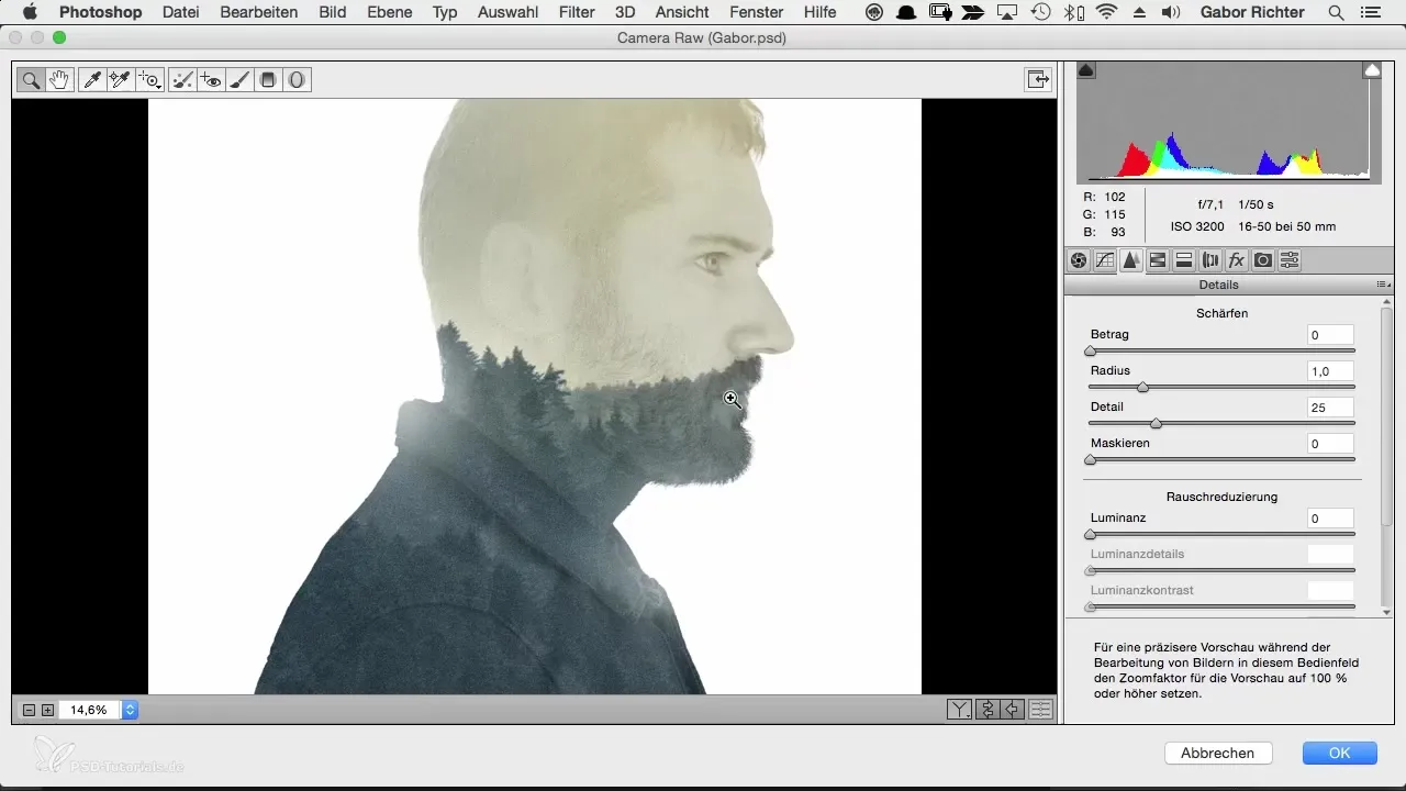 Last adjustments for character portraits in Photoshop