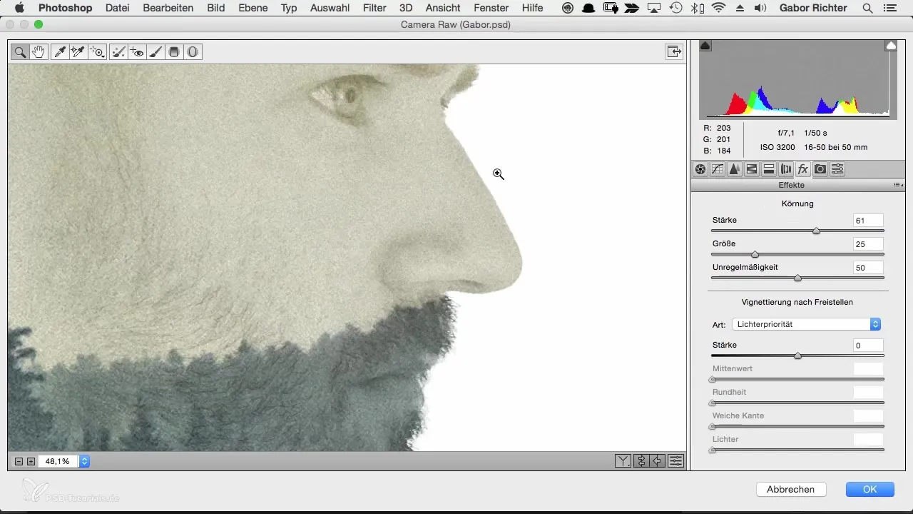 Final adjustments for character portraits in Photoshop