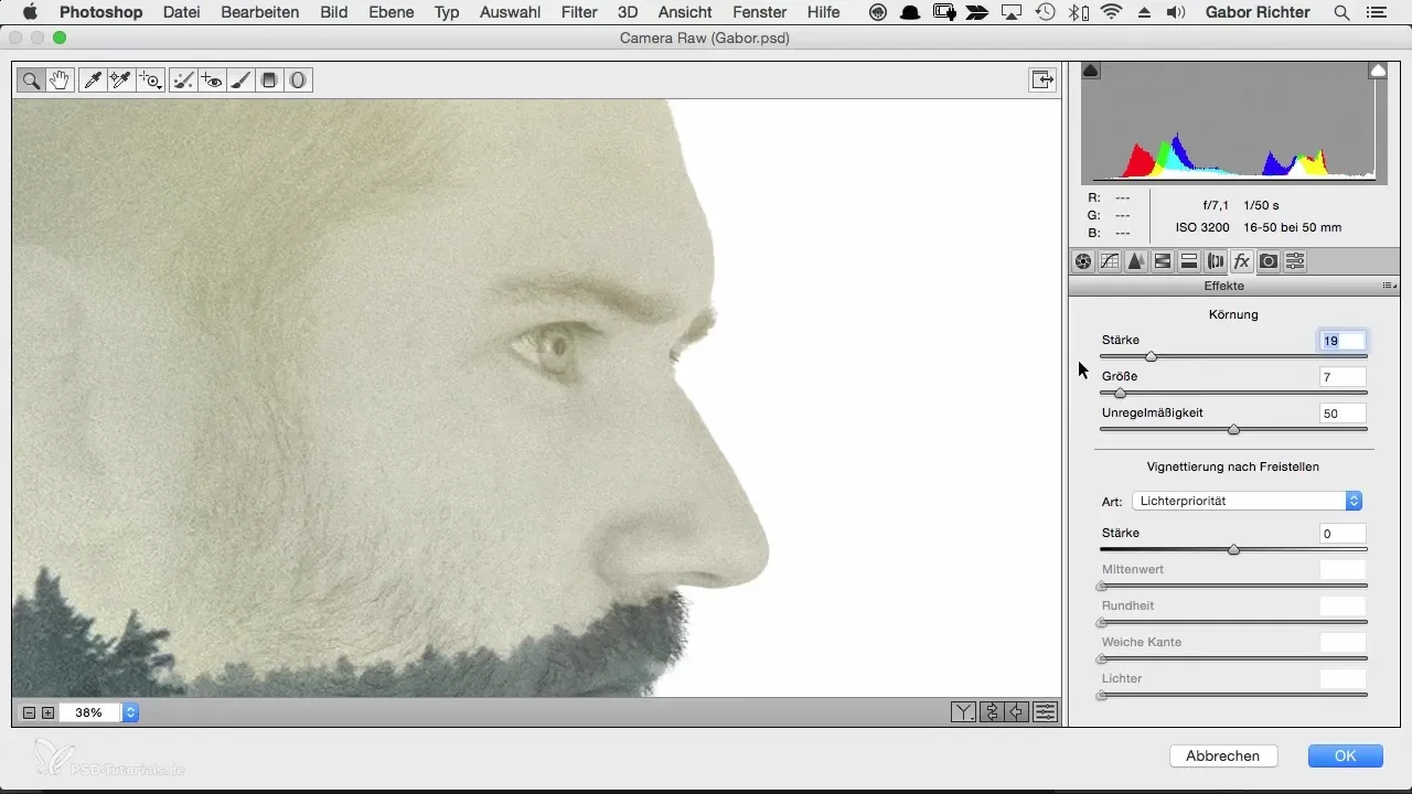 Final adjustments for character portraits in Photoshop