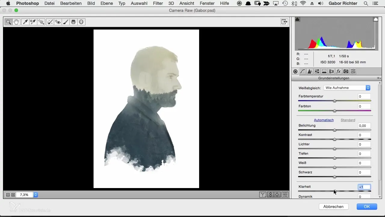 Final adjustments for character portraits in Photoshop